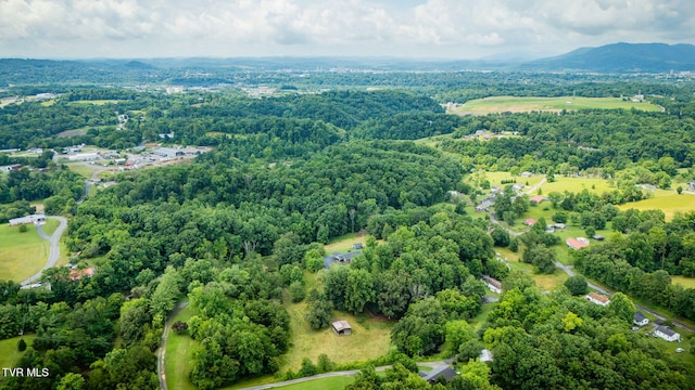2129 Philon Dr, Kingsport, TN 37660 - bird's eye view of a heavily wooded area