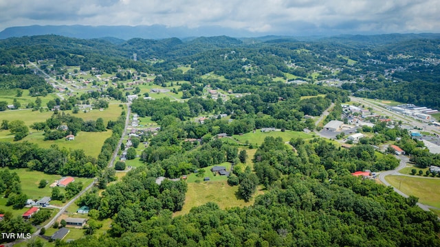 2129 Philon Dr, Kingsport, TN 37660 - view of property location with mountains and a forest