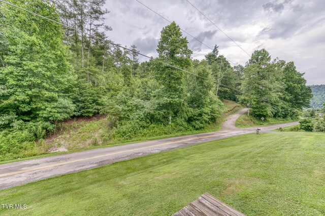 4166 Pine Orchard Rd, Butler, TN 37640 - photo 29