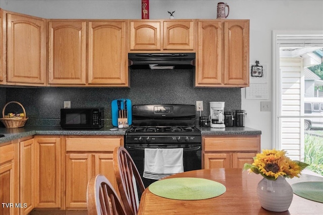 303 Old Union Rd, Church Hill, TN 37642 - photo 49
