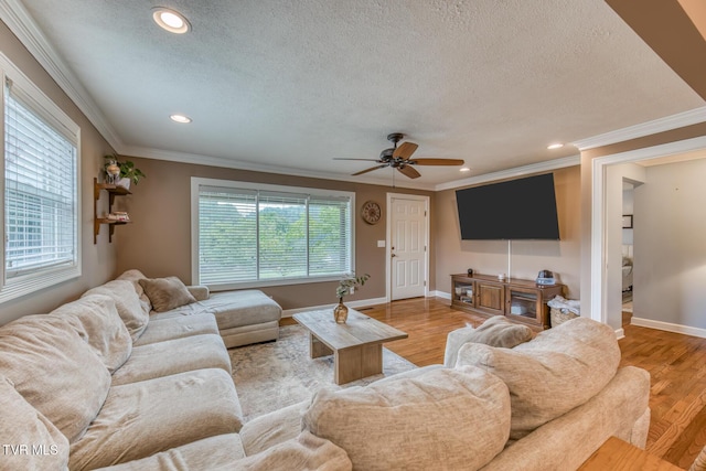 605 Dickerson St, Kingsport, TN 37665 - living area featuring a textured ceiling, crown molding, light wood finished floors, a ceiling fan, and recessed lighting