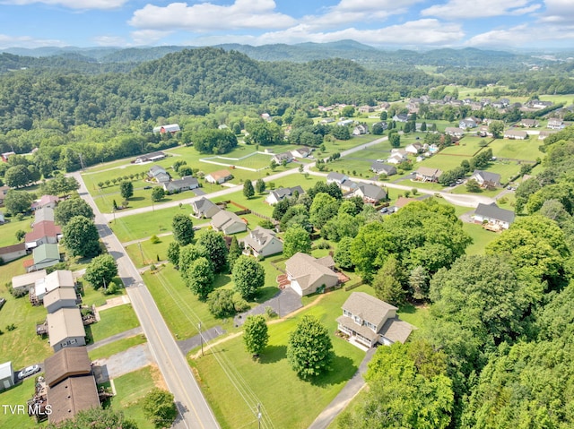 210 Taylor Dr, Piney Flats, TN 37686 - photo 31