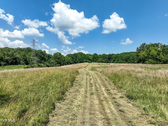 133ACRES Devault Bridge Rd, Piney Flats, TN 37686