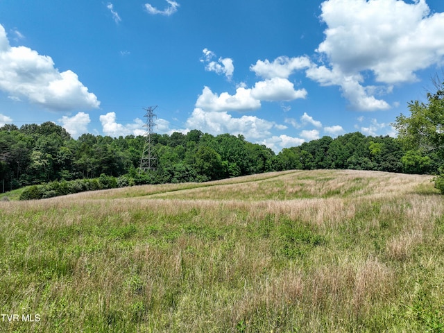 133ACRES Devault Bridge Rd, Piney Flats, TN 37686