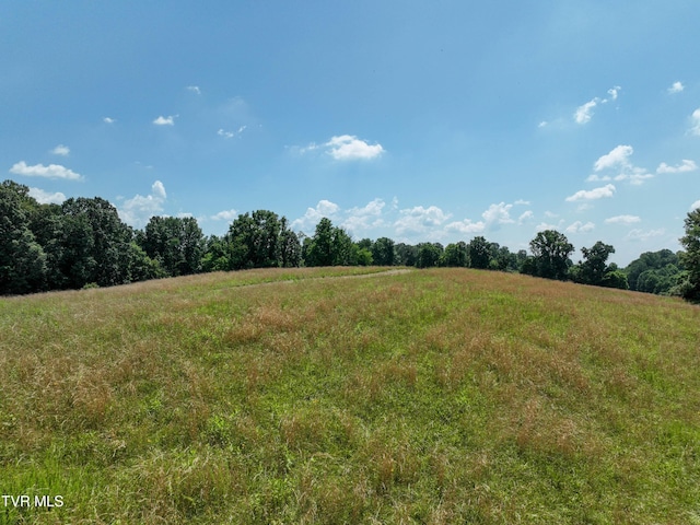 133ACRES Devault Bridge Rd, Piney Flats, TN 37686
