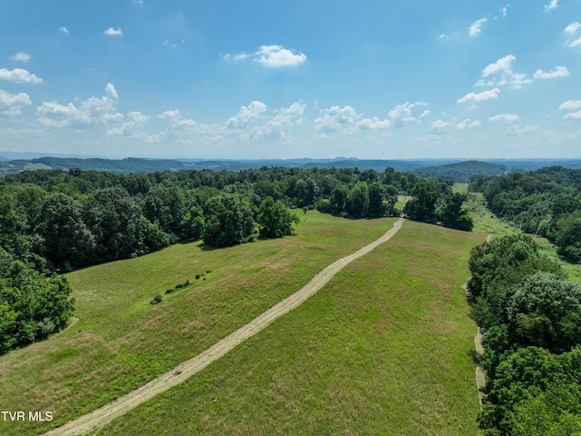 133ACRES Devault Bridge Rd, Piney Flats, TN 37686