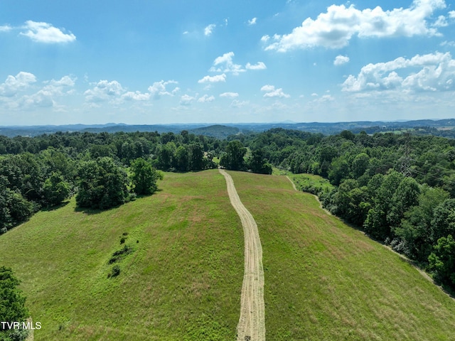 133ACRES Devault Bridge Rd, Piney Flats, TN 37686