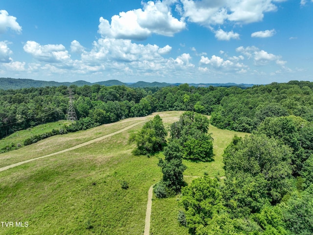 133ACRES Devault Bridge Rd, Piney Flats, TN 37686