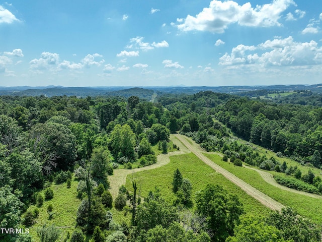 133ACRES Devault Bridge Rd, Piney Flats, TN 37686
