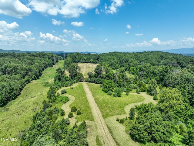 133ACRES Devault Bridge Rd, Piney Flats, TN 37686