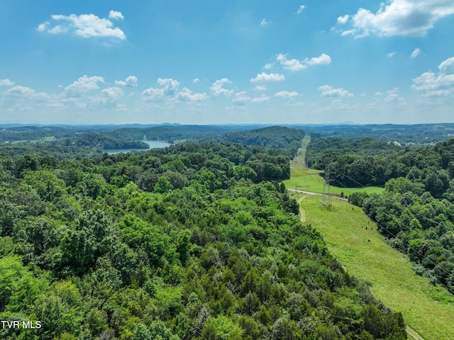 133ACRES Devault Bridge Rd, Piney Flats, TN 37686