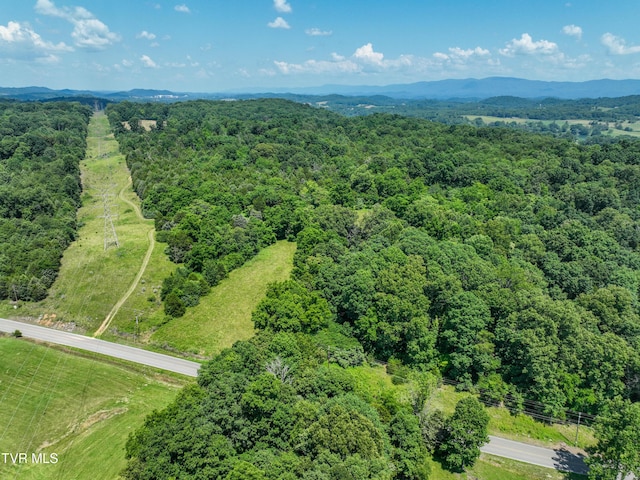 133ACRES Devault Bridge Rd, Piney Flats, TN 37686