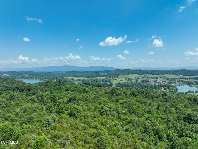 133ACRES Devault Bridge Rd, Piney Flats, TN 37686