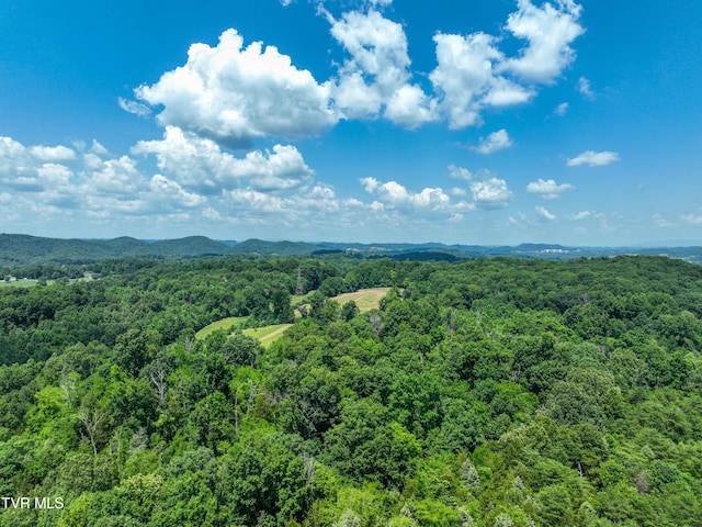 133ACRES Devault Bridge Rd, Piney Flats, TN 37686