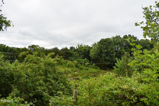1085 Old Stage Rd, Rogersville, TN 37857 - photo 30