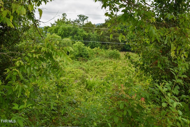 1085 Old Stage Rd, Rogersville, TN 37857 - photo 31
