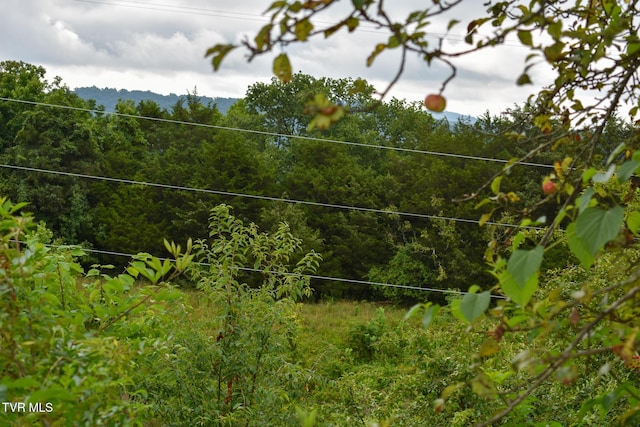 1085 Old Stage Rd, Rogersville, TN 37857 - photo 32