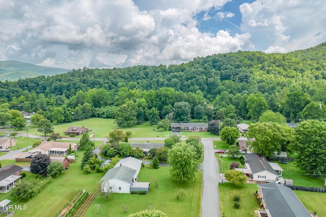 107 Woodland Dr, Erwin, TN 37650 - photo 45