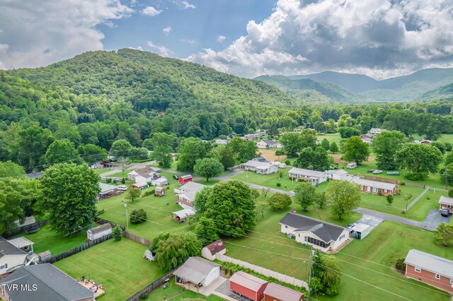 107 Woodland Dr, Erwin, TN 37650 - photo 46