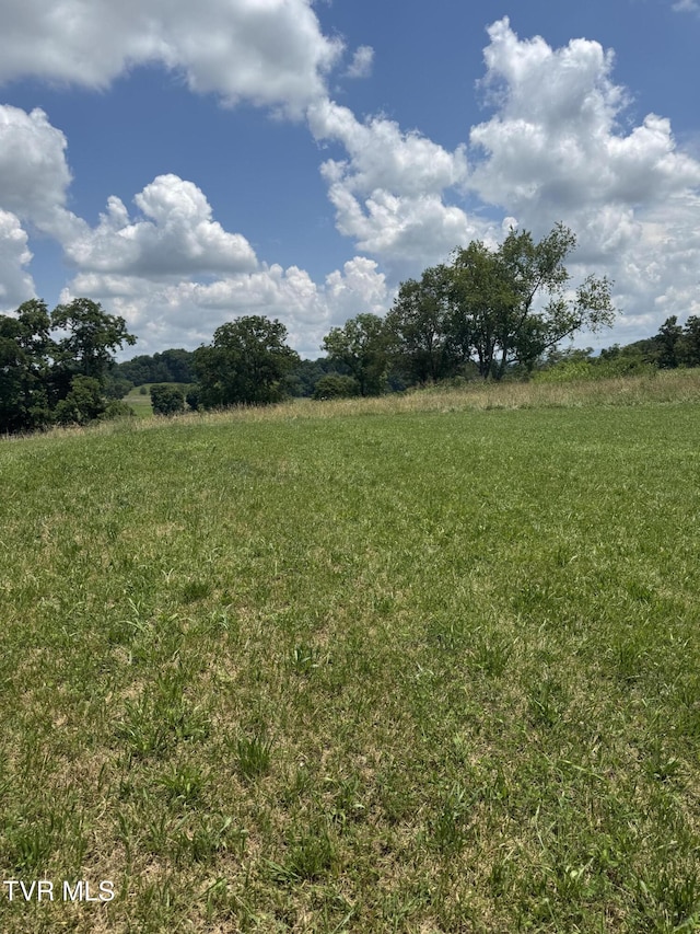 5920 Snapps Ferry Rd, Afton, TN 37616 - view of green lawn featuring a rural view