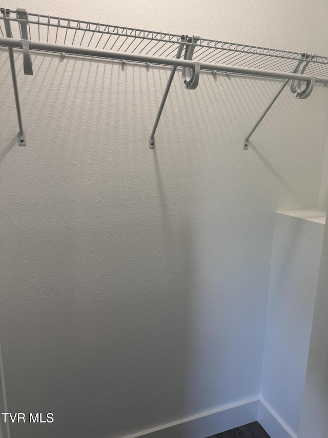 5920 Snapps Ferry Rd, Afton, TN 37616 - view of walk in closet