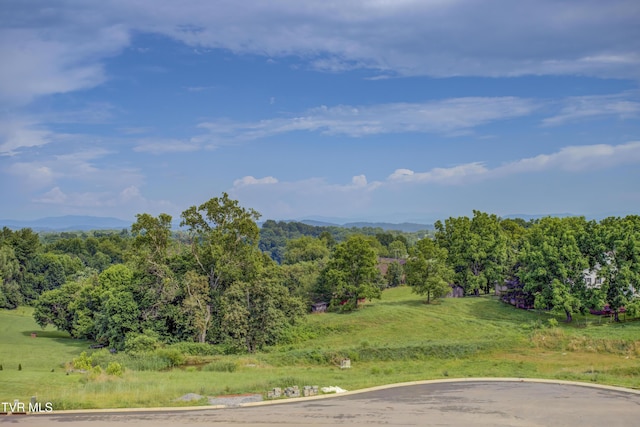 77 Sunset Rd, Johnson City, TN 37615 - mountain view
