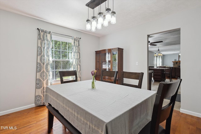4404 Stillwood Ave, Kingsport, TN 37664 - dining space featuring a chandelier and hardwood / wood-style floors