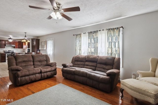 4404 Stillwood Ave, Kingsport, TN 37664 - living room featuring a ceiling fan, a textured ceiling, and light wood finished floors