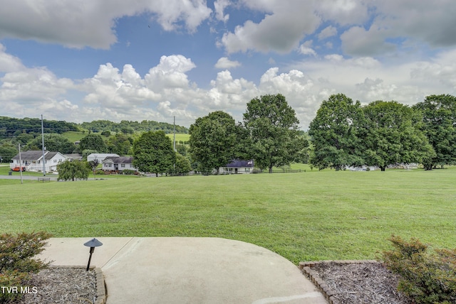 122 Paynetown Rd, Telford, TN 37690 - photo 3