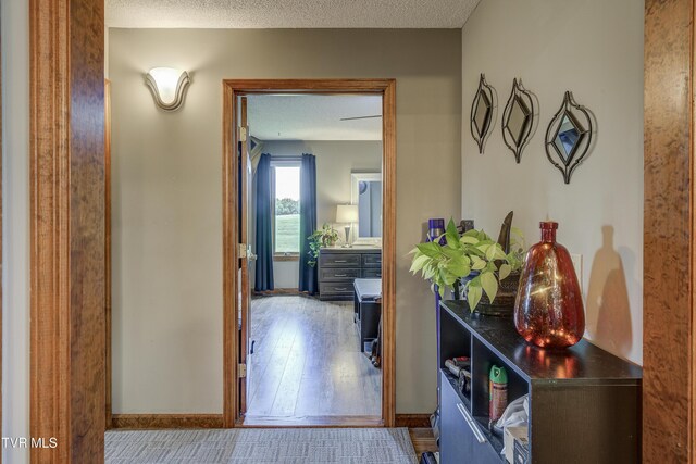 122 Paynetown Rd, Telford, TN 37690 - photo 14