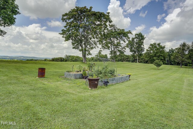 122 Paynetown Rd, Telford, TN 37690 - photo 51