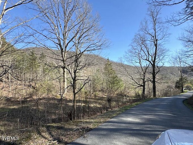 2063 Kelley Gap Rd, Greeneville, TN 37743 - photo 2
