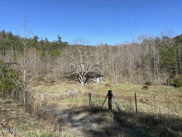 2063 Kelley Gap Rd, Greeneville, TN 37743 - photo 3