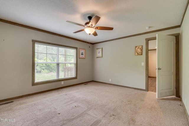 343 Butcher Valley Rd, Rogersville, TN 37857 - photo 18