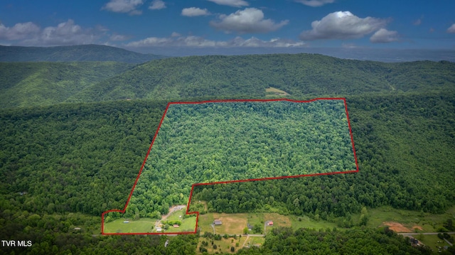 343 Butcher Valley Rd, Rogersville, TN 37857 - photo 34