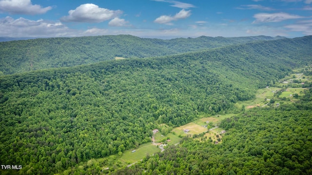 343 Butcher Valley Rd, Rogersville, TN 37857 - photo 35