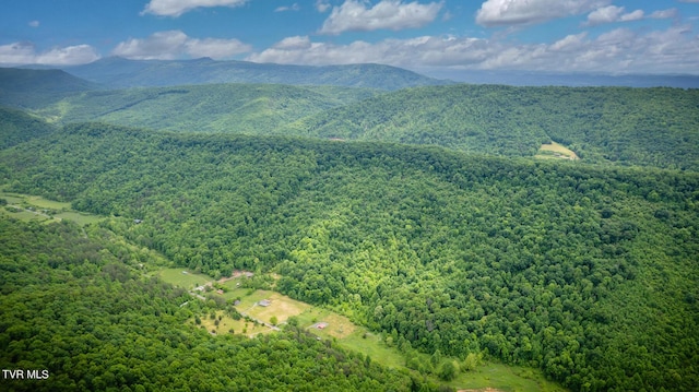 343 Butcher Valley Rd, Rogersville, TN 37857 - photo 40