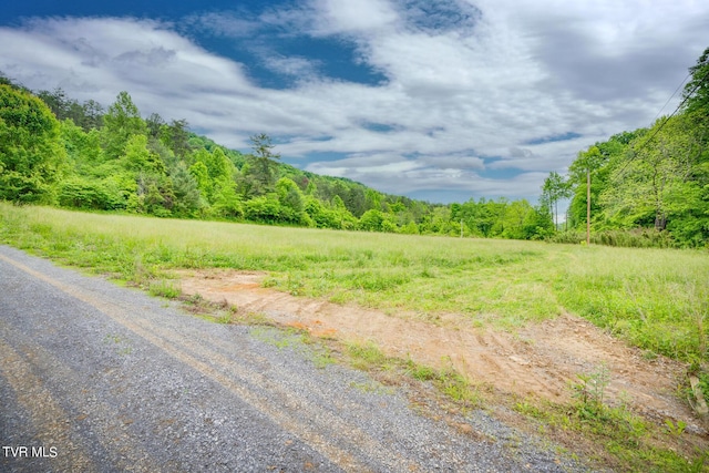 343 Butcher Valley Rd, Rogersville, TN 37857 - photo 41