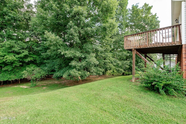 5630 Orebank Rd, Kingsport, TN 37664 - view of green lawn with a deck