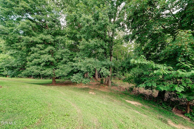 5630 Orebank Rd, Kingsport, TN 37664 - view of green lawn