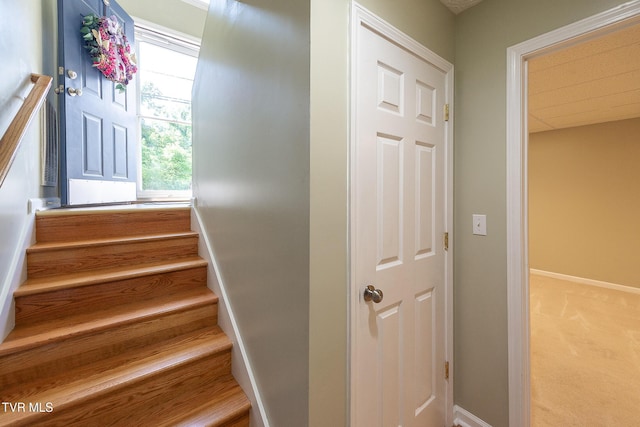 5630 Orebank Rd, Kingsport, TN 37664 - staircase featuring carpet flooring and baseboards