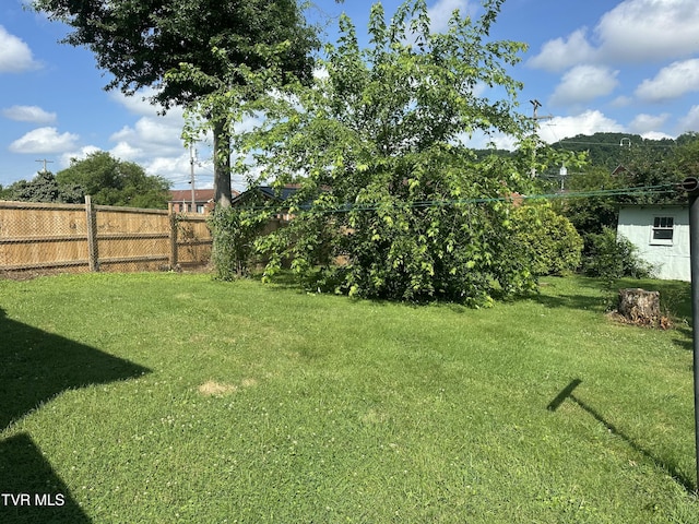 613 Spruce St, Johnson City, TN 37601 - view of yard