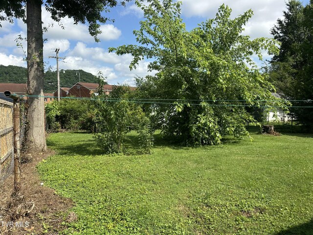 613 Spruce St, Johnson City, TN 37601 - view of yard