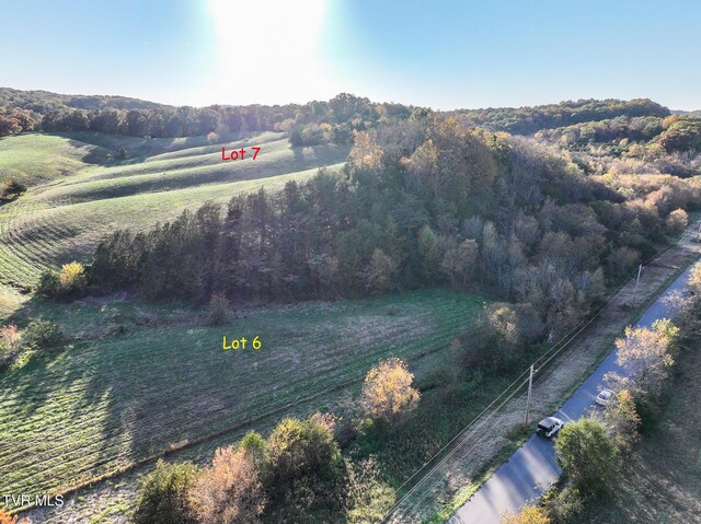 LOTS6-10 Burkey Rd, Greeneville, TN 37743 - photo 10