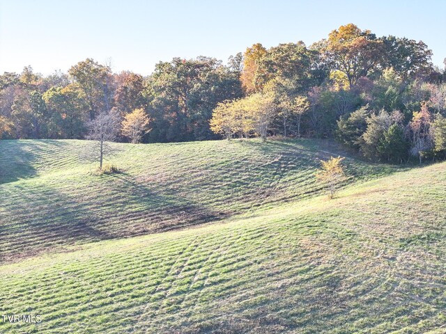 LOTS6-10 Burkey Rd, Greeneville, TN 37743 - photo 13