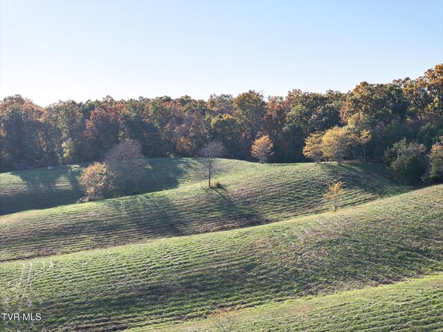LOTS6-10 Burkey Rd, Greeneville, TN 37743 - photo 14