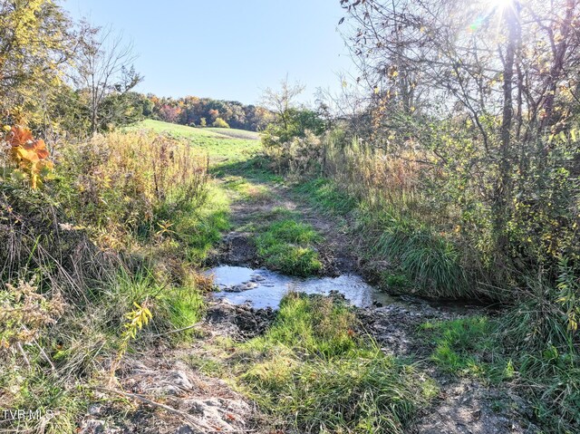 LOTS6-10 Burkey Rd, Greeneville, TN 37743 - photo 39