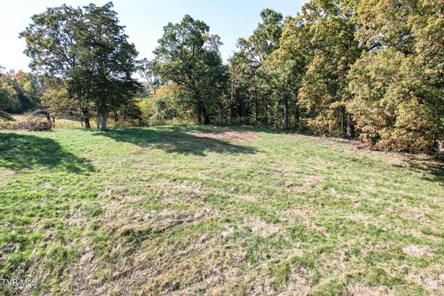 LOTS6-10 Burkey Rd, Greeneville, TN 37743 - photo 74