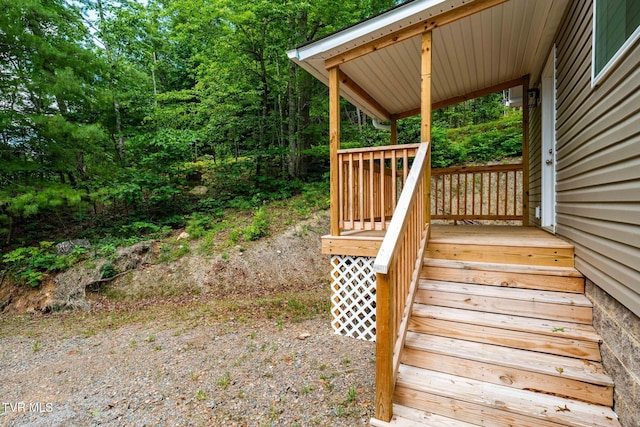 144 Todd Ln, Mountain City, TN 37683 - photo 4