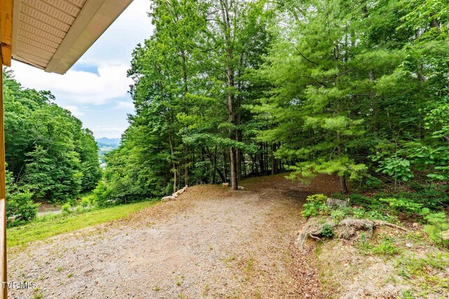 144 Todd Ln, Mountain City, TN 37683 - photo 7